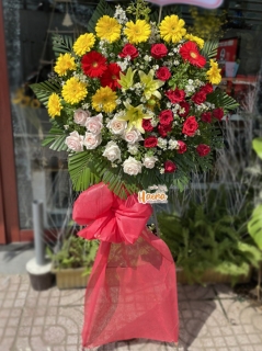 26 Hoa Chúc Mừng Thành Công