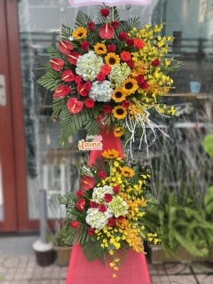 27 Hoa Chúc Mừng Hoàng Kim