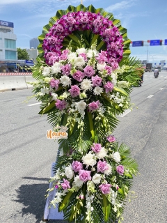 37 Hoa Chia Buồn Nắng Mai