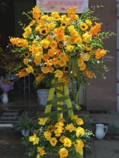 37 HCM Thắng Lợi