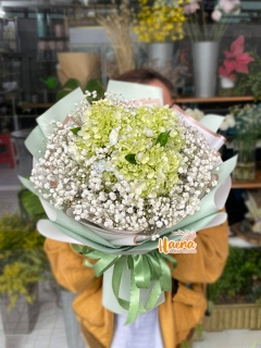 15 Bó Hoa Tú Cầu