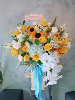 16 Giỏ Hoa Tú Cầu