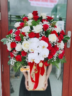 12 Giỏ Hoa Hồ Điệp