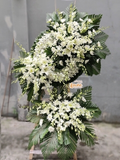 29 Hoa Chia Buồn Giọt Lệ