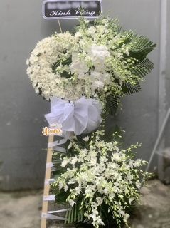 27 Hoa Chia Buồn Vĩnh Biệt