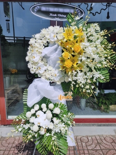 16 HCB Thiên Đường