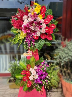 20 HCM Thăng Tiến