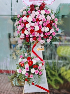 23 Hoa Chúc Mừng Khởi Đầu